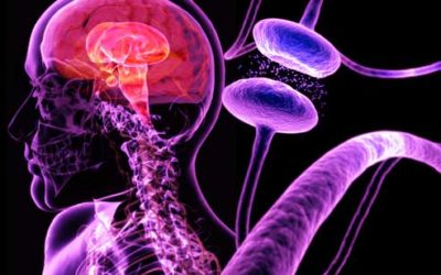Lo dice JAMA Neurology